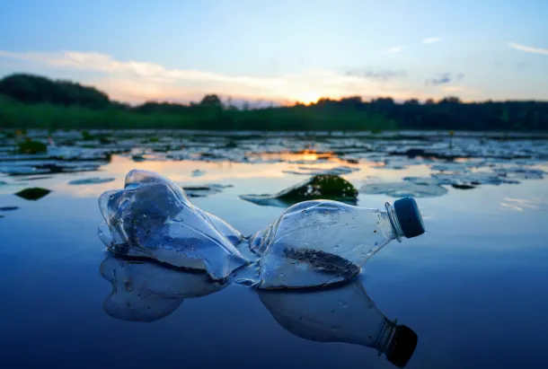 Imagen principal de DÍA MUNDIAL DEL MEDIO AMBIENTE 2026: LANZAN UNA HISTÓRICA RED DE 50 CIUDADES PARA FRENAR EL IMPACTO DEL CALOR EXTREMO EN LAS URBES