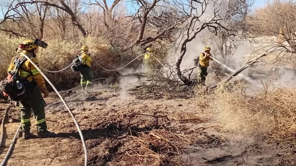 Imagen de Sigue la lucha contra el fuego en Cafayate